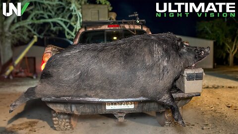 A Hunt Like This May Never Happen Again | Hogzilla Found In Texas