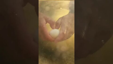 Cracking an EGG 🥚 in the Ocean 🌊