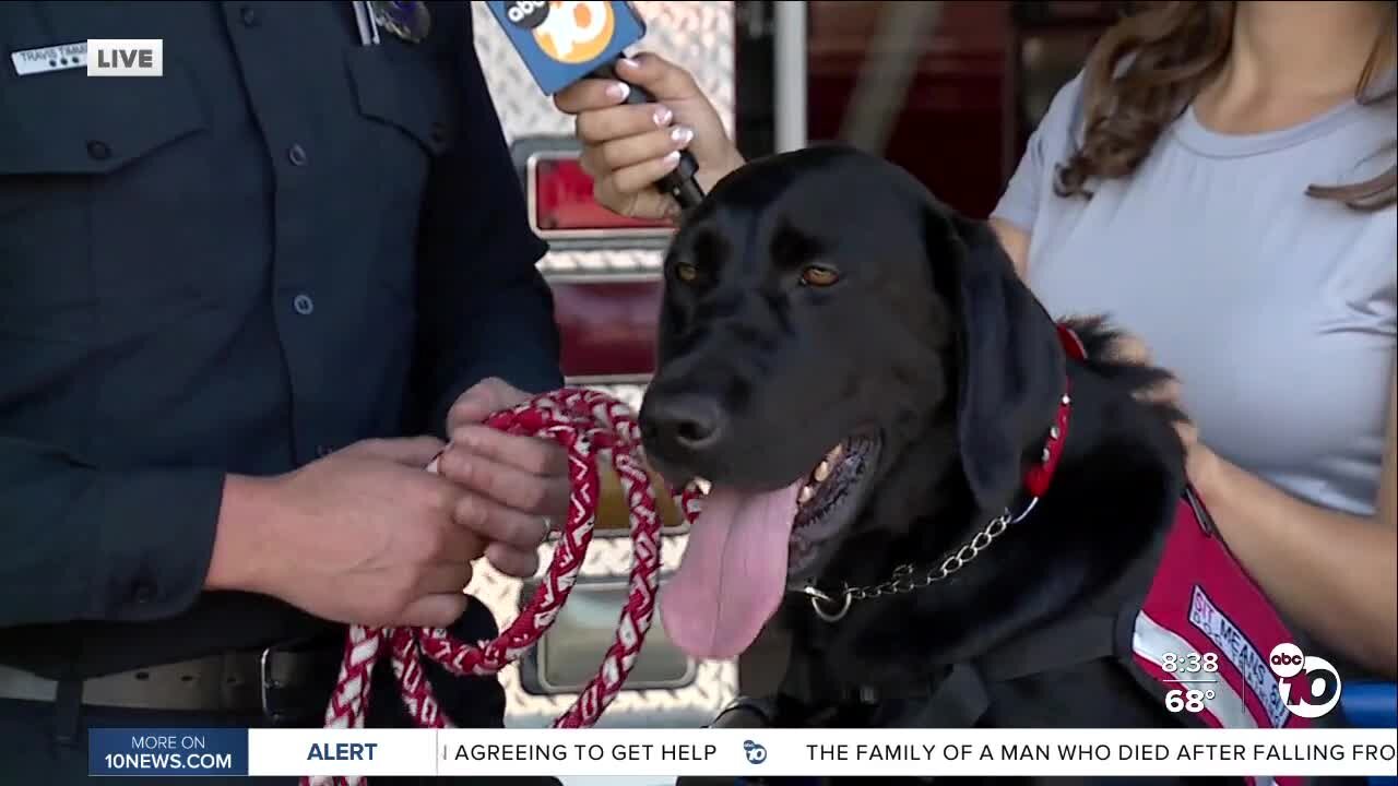 Heartland Fire Dog Days