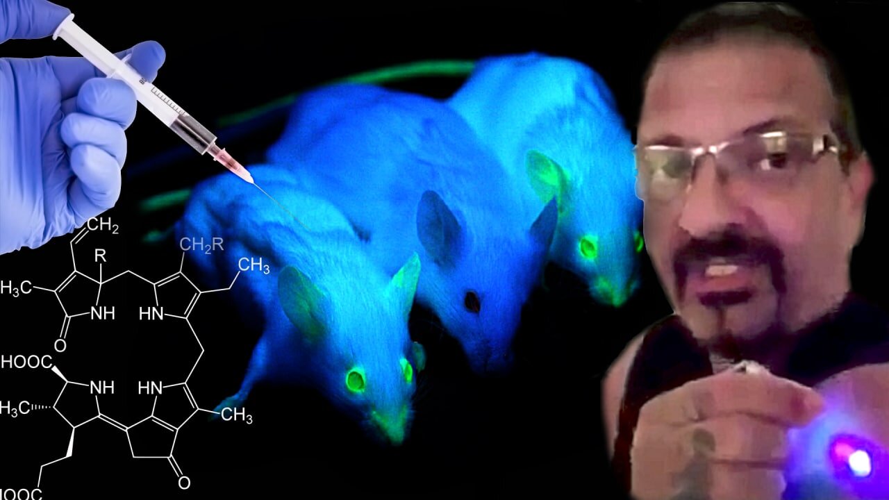 Luciferasi: ecco perchè brilli dopo la puntura. La modifica del DNA e il brevetto sui geni umani