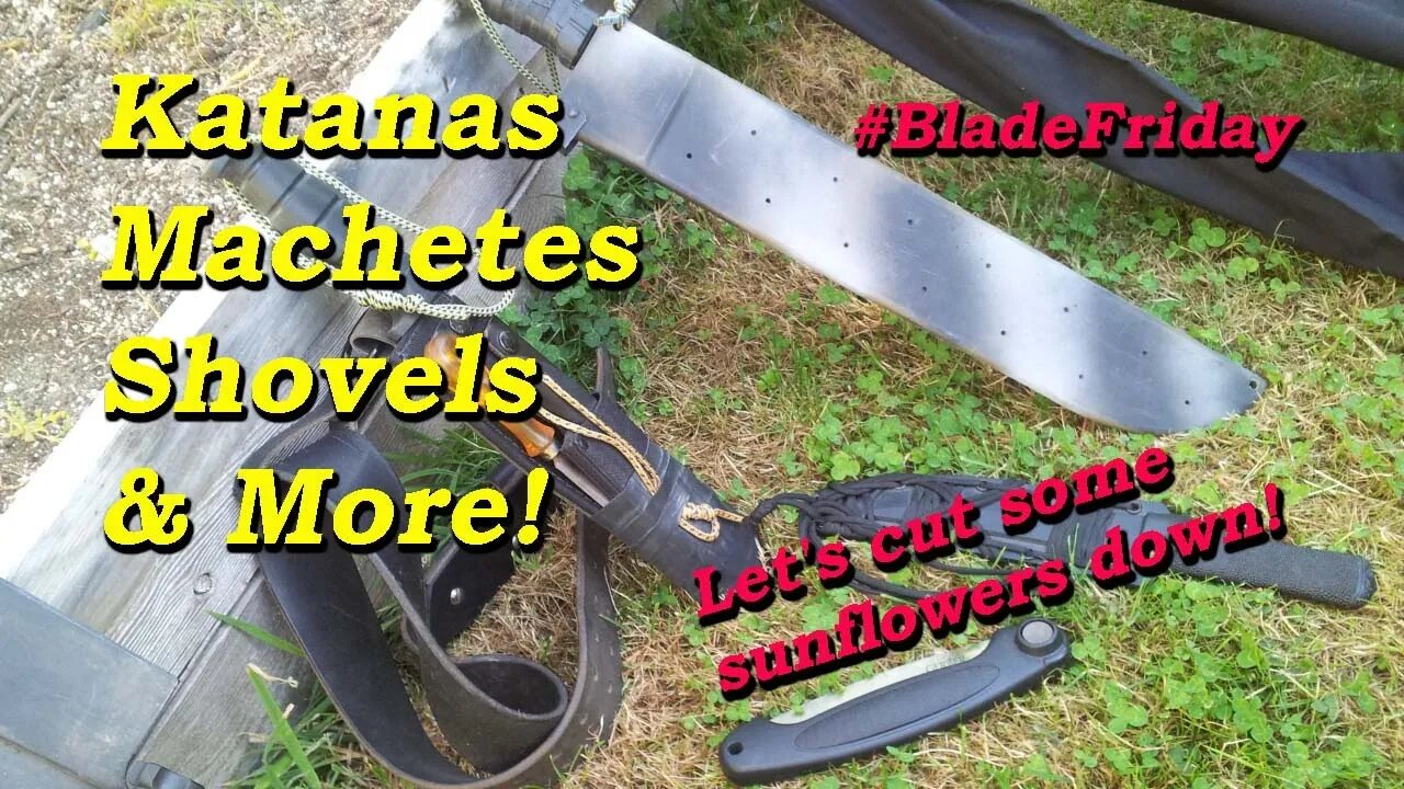 Let's cut some sunflowers down! #BladeFriday