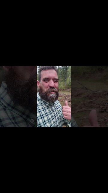 The Ol' Bangin' Spot