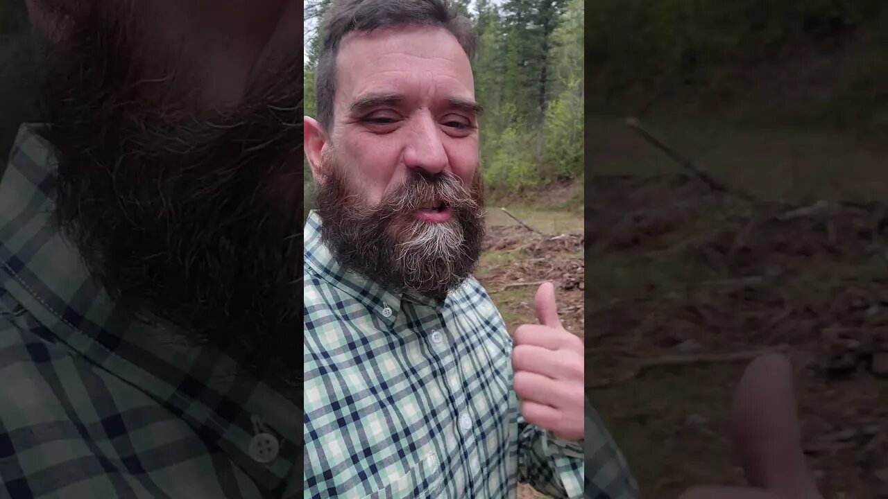 The Ol' Bangin' Spot