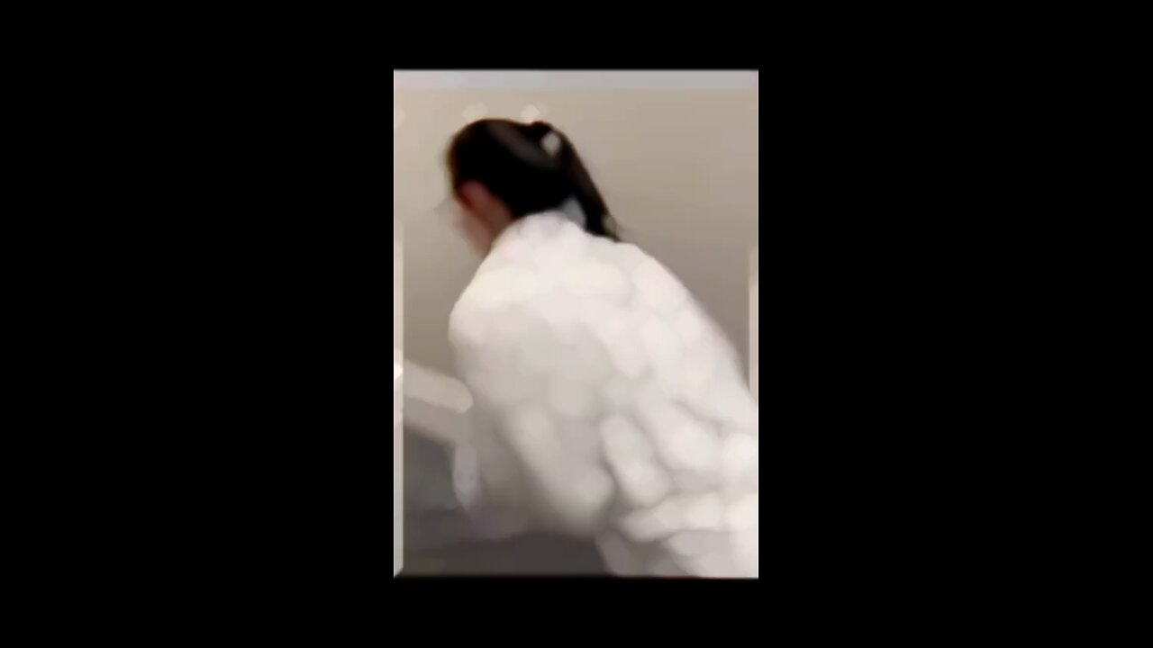 Funny animals