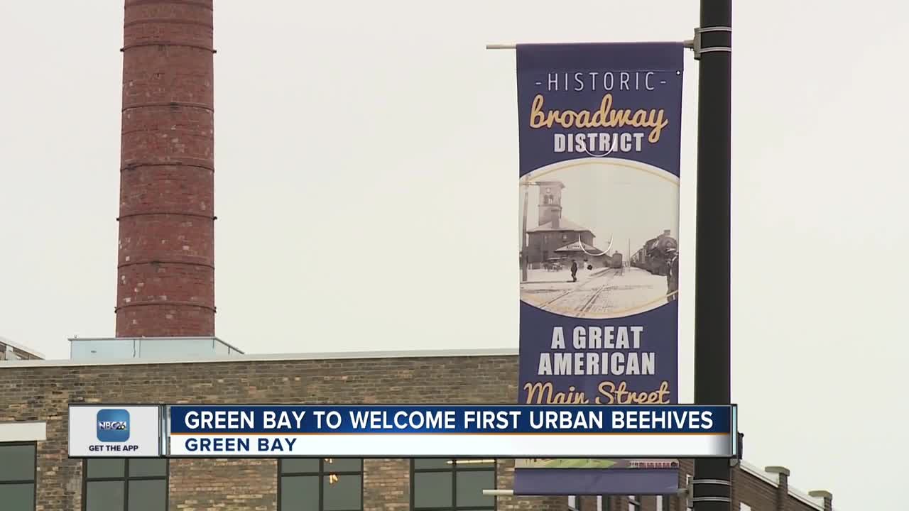 Green Bay to welcome first urban beehive