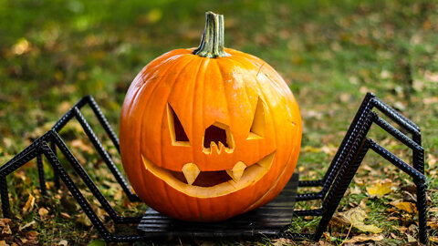 Pumpkin Spider - A set of legs brings this pumpkin to life!