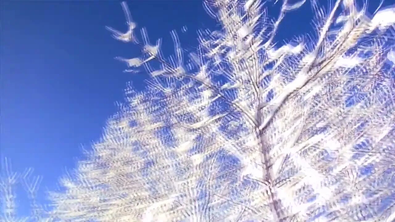 Blue Snow Stock Footage