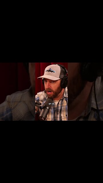 Another Bank Bites the Dust