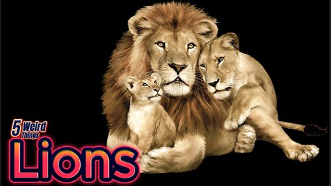 5 Weird - Lions (APEX Predators)