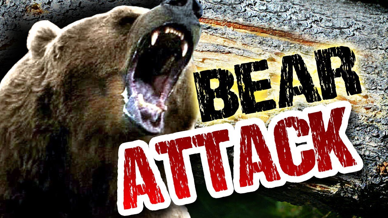 Bear attacking and caught on camera