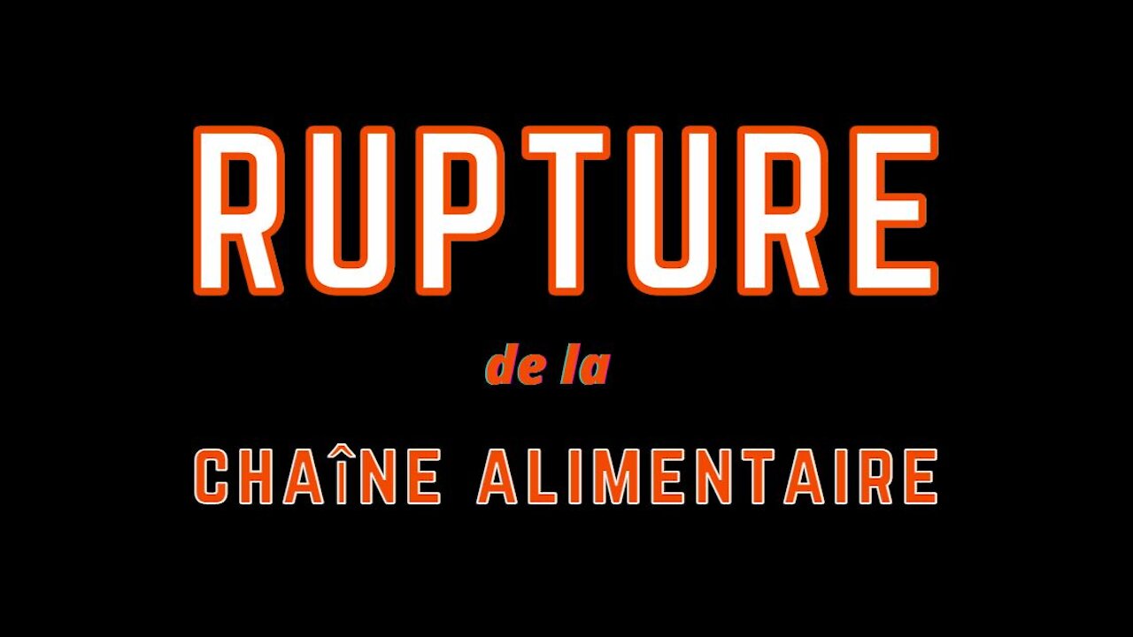 Rupture de la chaîne alimentaire | l'ONU sonne l'alarme