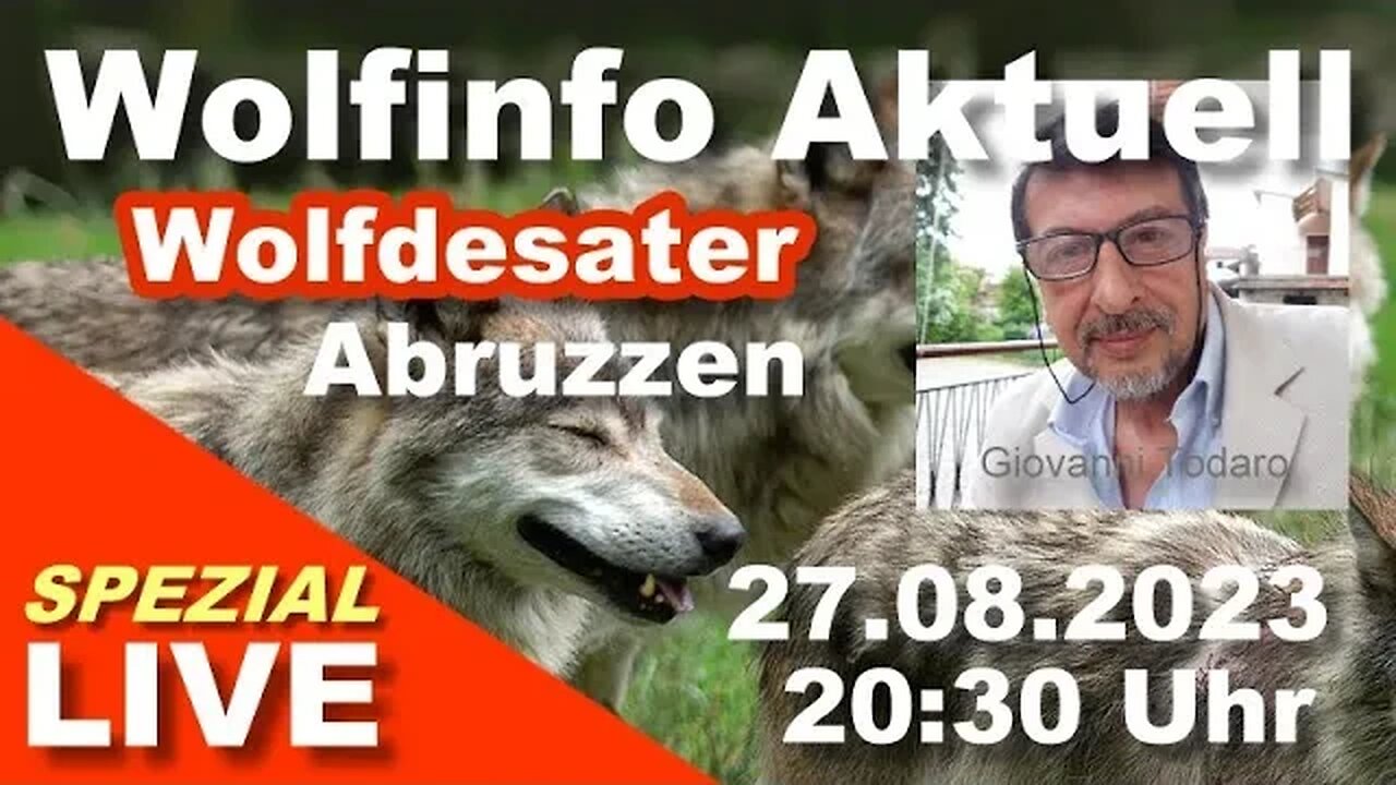 Wolfinfo Aktuell Spezial LIVE ( Wolfdesaster in den Abruzzen ) ( Disastro del lupo in Abruzzo )