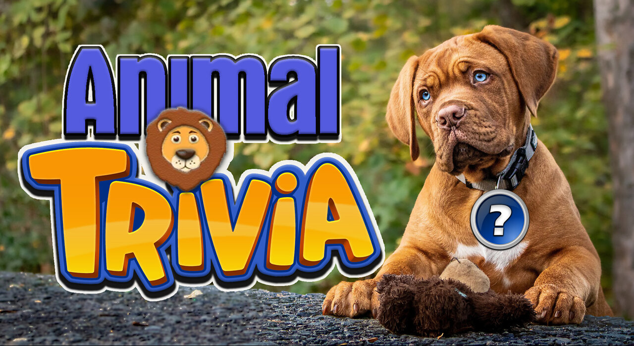 ANIMAL TRIVIA | GENDERS OF ANIMALS | BABIES OF ANIMALS | GROUP OF ANIMALS