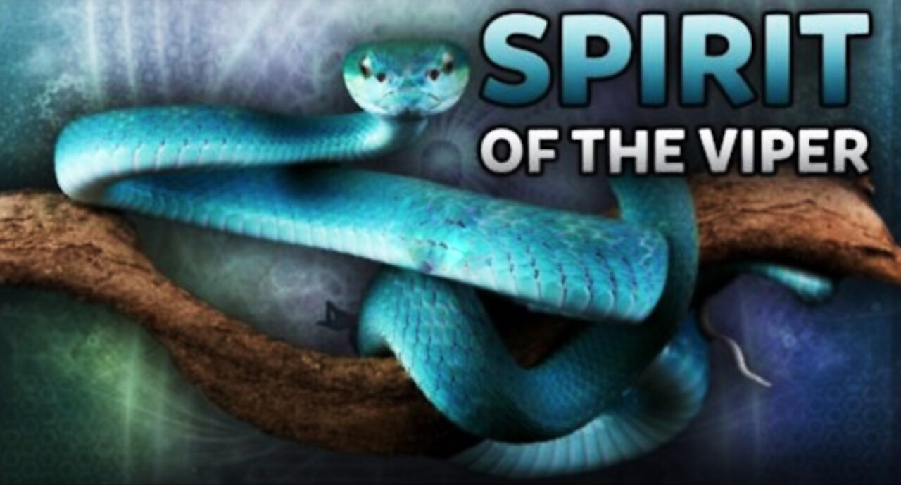 Spirit of The VIPER