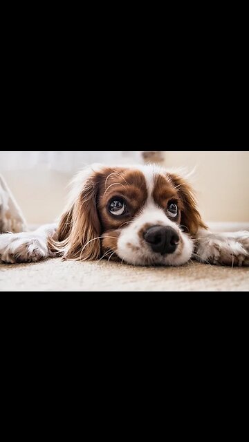 weekend is here, break free #shorts