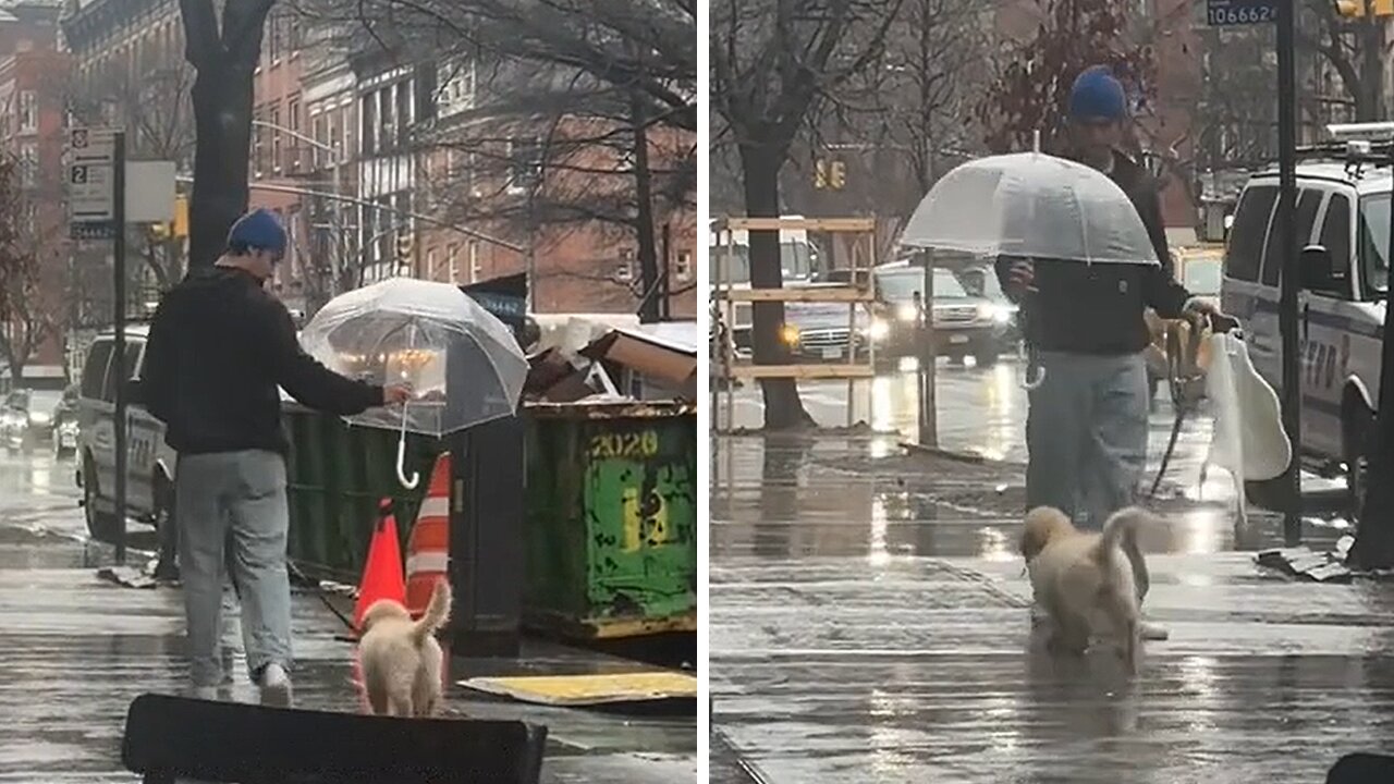 This puppy has the best dog dad!