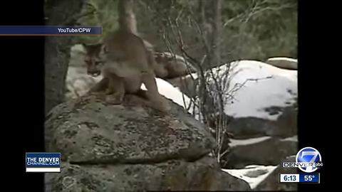 Grand Slam Big Game Raffle