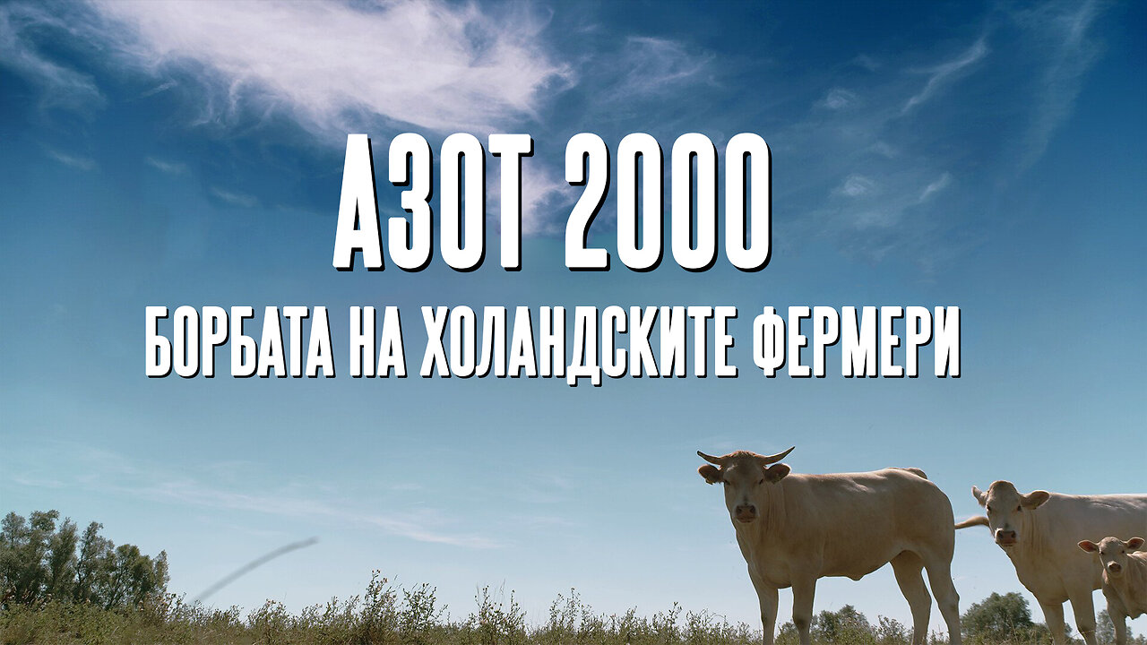 Азот 2000 - борбата на холандските фермери