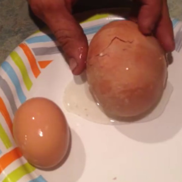 Giant Chicken Egg Inception: Lays An Egg Inside An Egg