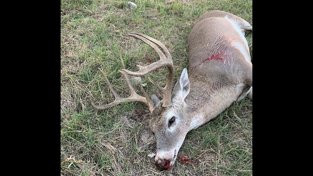 11 point texas white tail suppressed 300 blackout