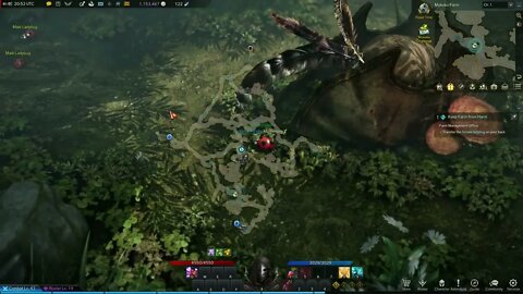 Lost Ark MMORPG Keep Farm From Harm