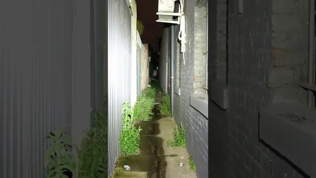 Nextorch E51C - alleyway beam shot #shorts