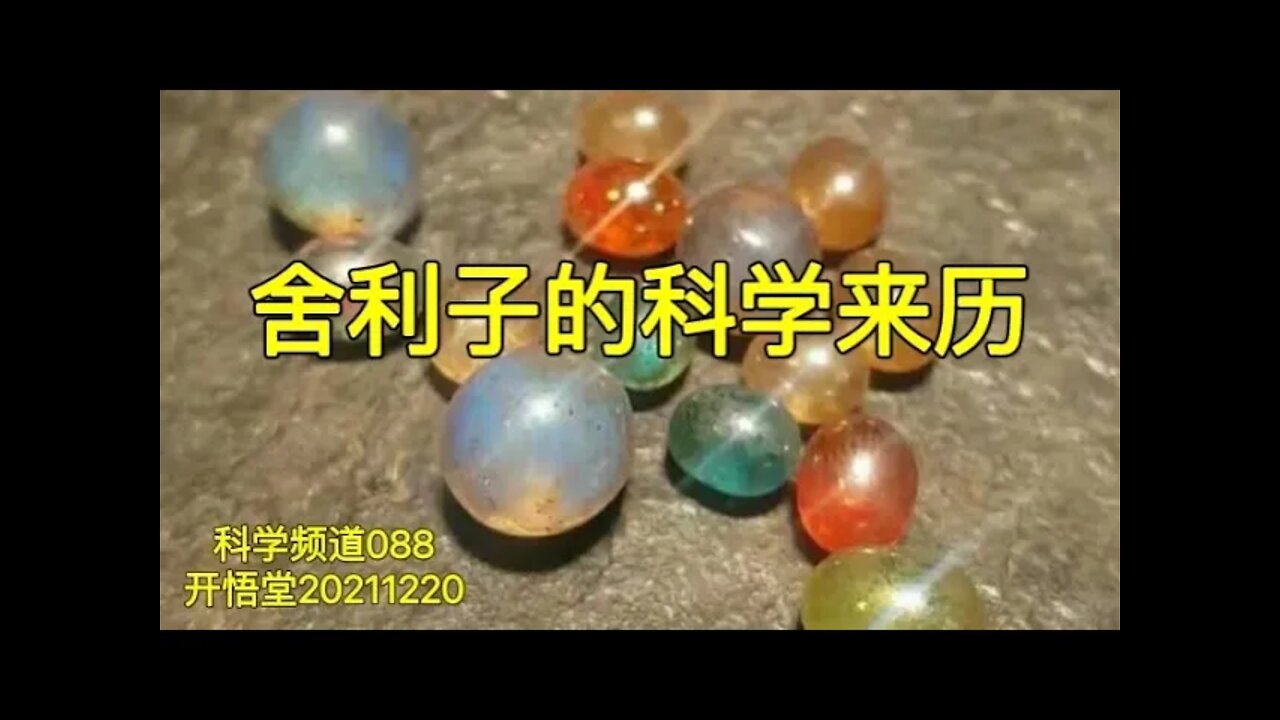 2021年12月20日