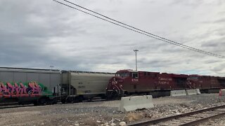 Alyth Yard Grain