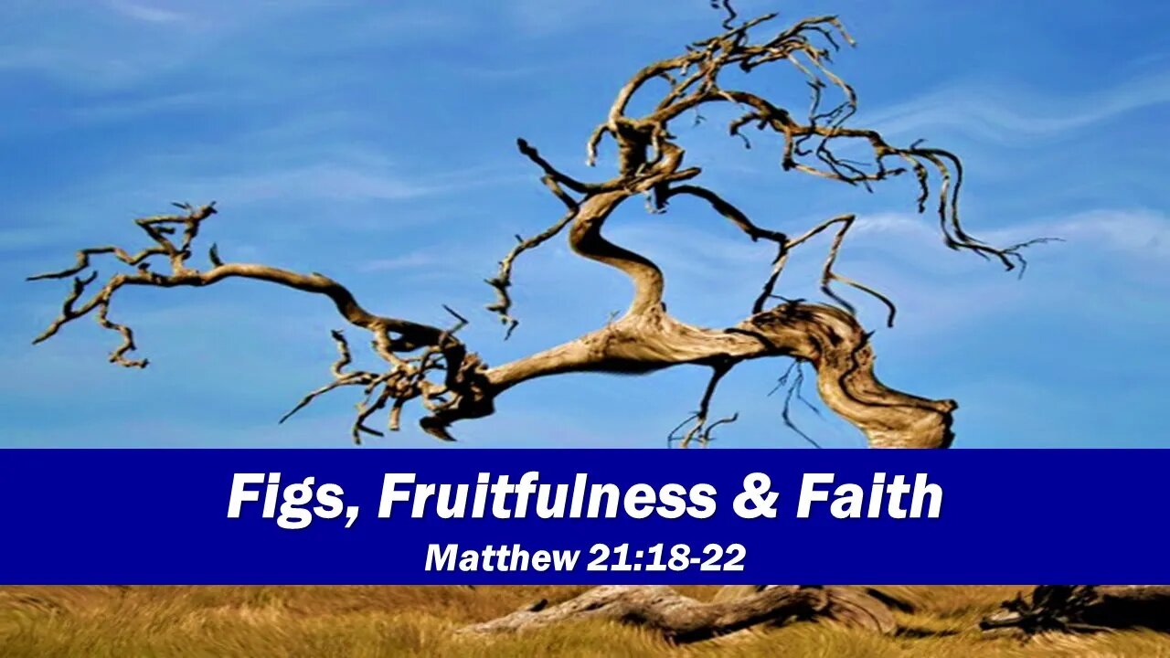 FIGS.FRUITFULNESS & FAITH