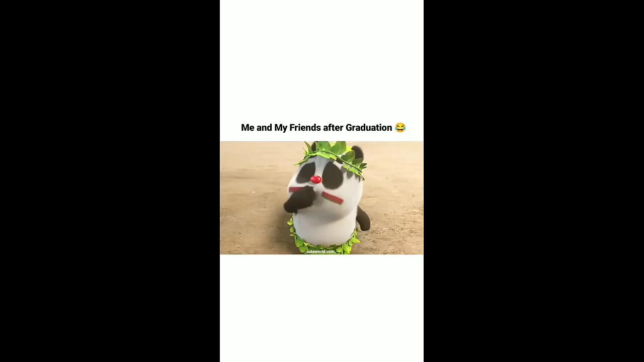 funny pandas 🤣🤣🤣