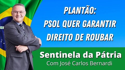 Deputada Talíria Petrone do PSOL QUER GARANTIR DIREITO DE "ROUBAR"