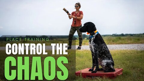 How Place Training Can Help Your Dog Behave!