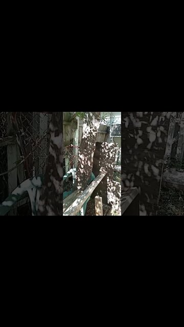 rough cut untreated planks for shelving