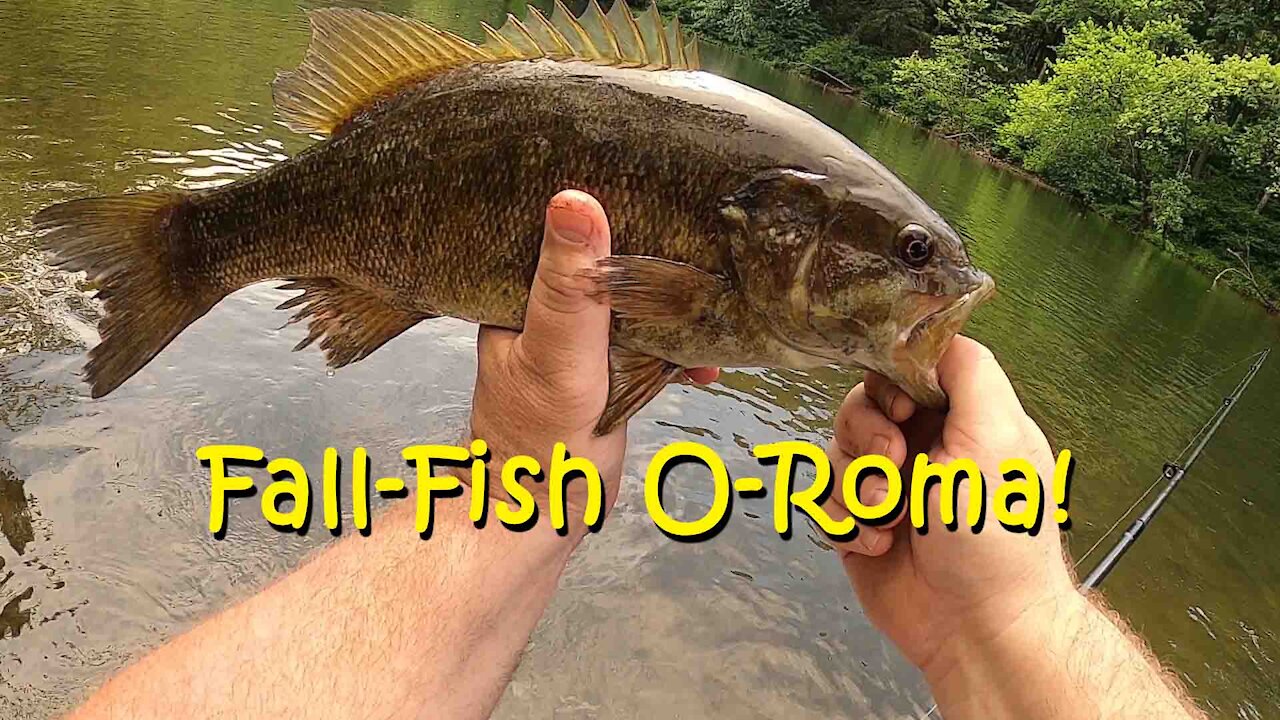 Fall Fish O'rama!