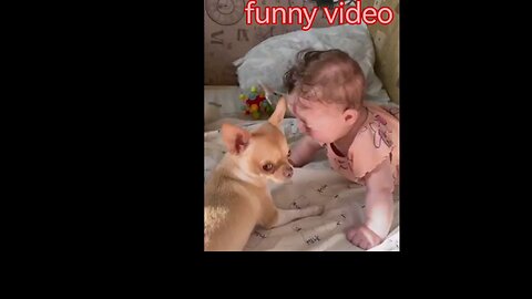 funiy Video
