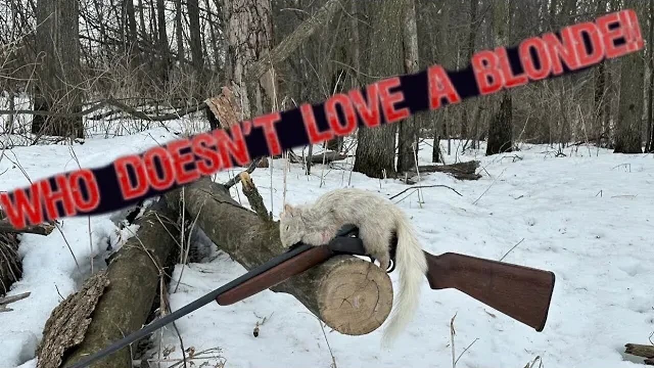 RARE SQUIRREL! STEVENS Single Shot .410 has a date w/ a HOT BLONDE