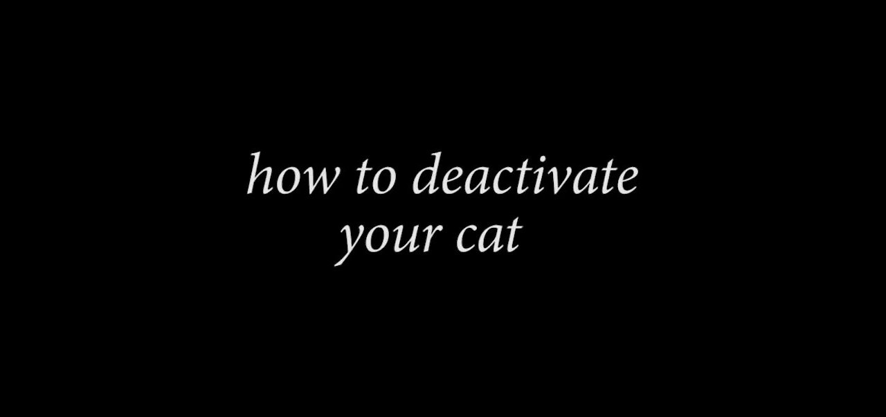 How to deactivate a Cat with simple trick