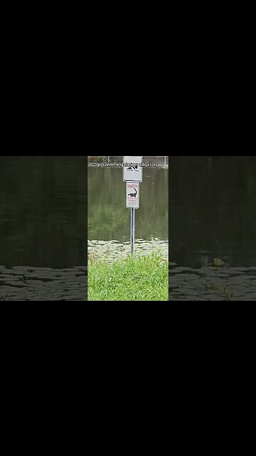 Alligators and children go hand in hand