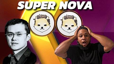 THIS IS THE TIME TO REALLY THINK ABOUT WHAT YOU HAVE? DOGELON MARS - SUPER NOVA POSSIBILI