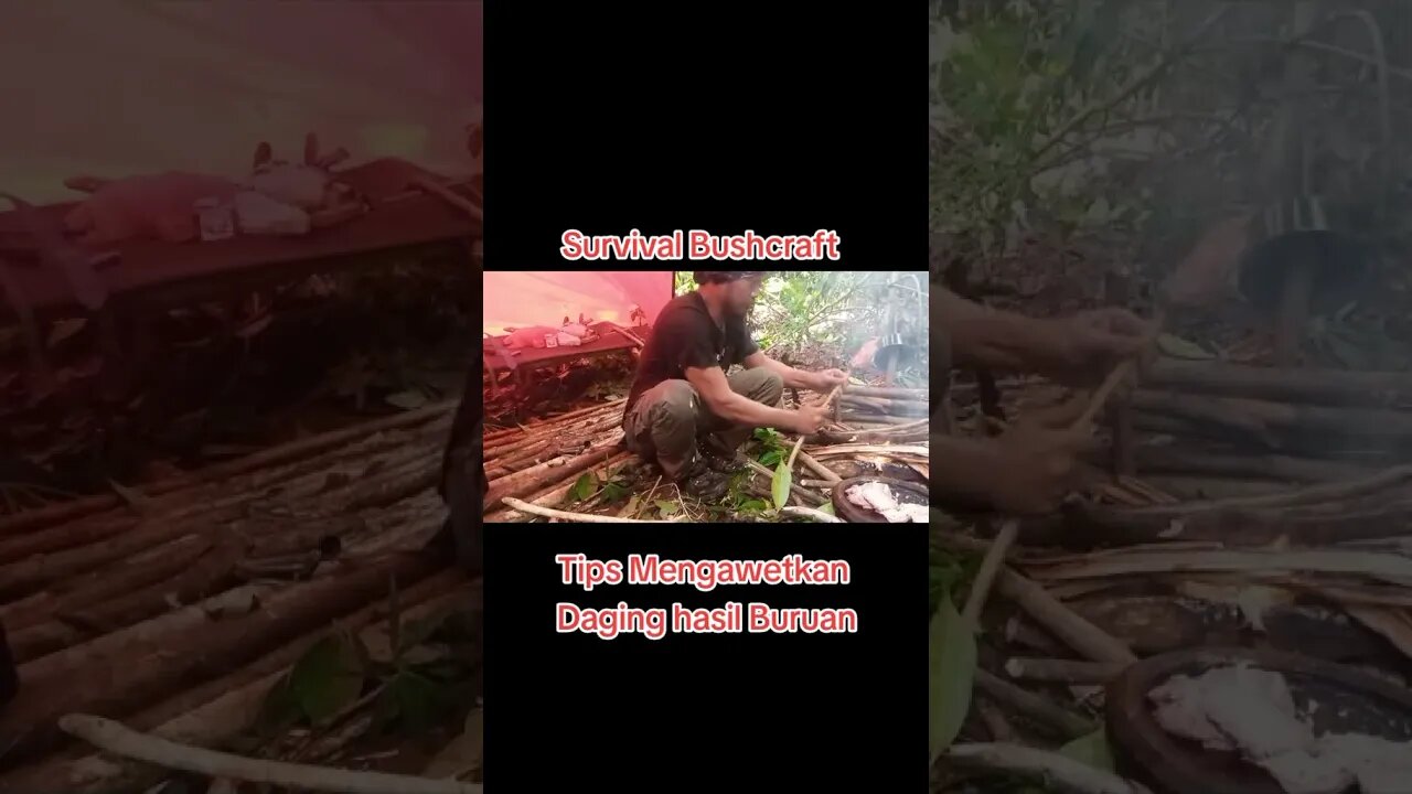 Survival solo #asmr #bushcraft #survival #outdoors #forest #camping #shorts