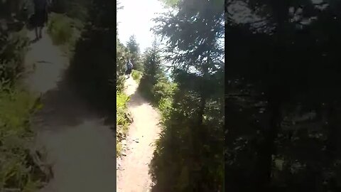 Ceahlaul