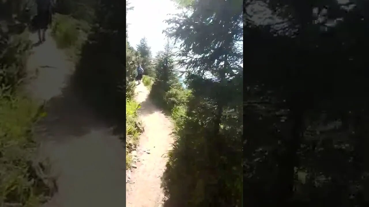 Ceahlaul