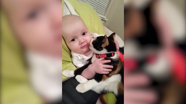 Cat Licks Baby