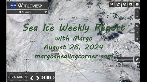 Sea Ice Weekly Report with Margo (Aug. 28, 2024)
