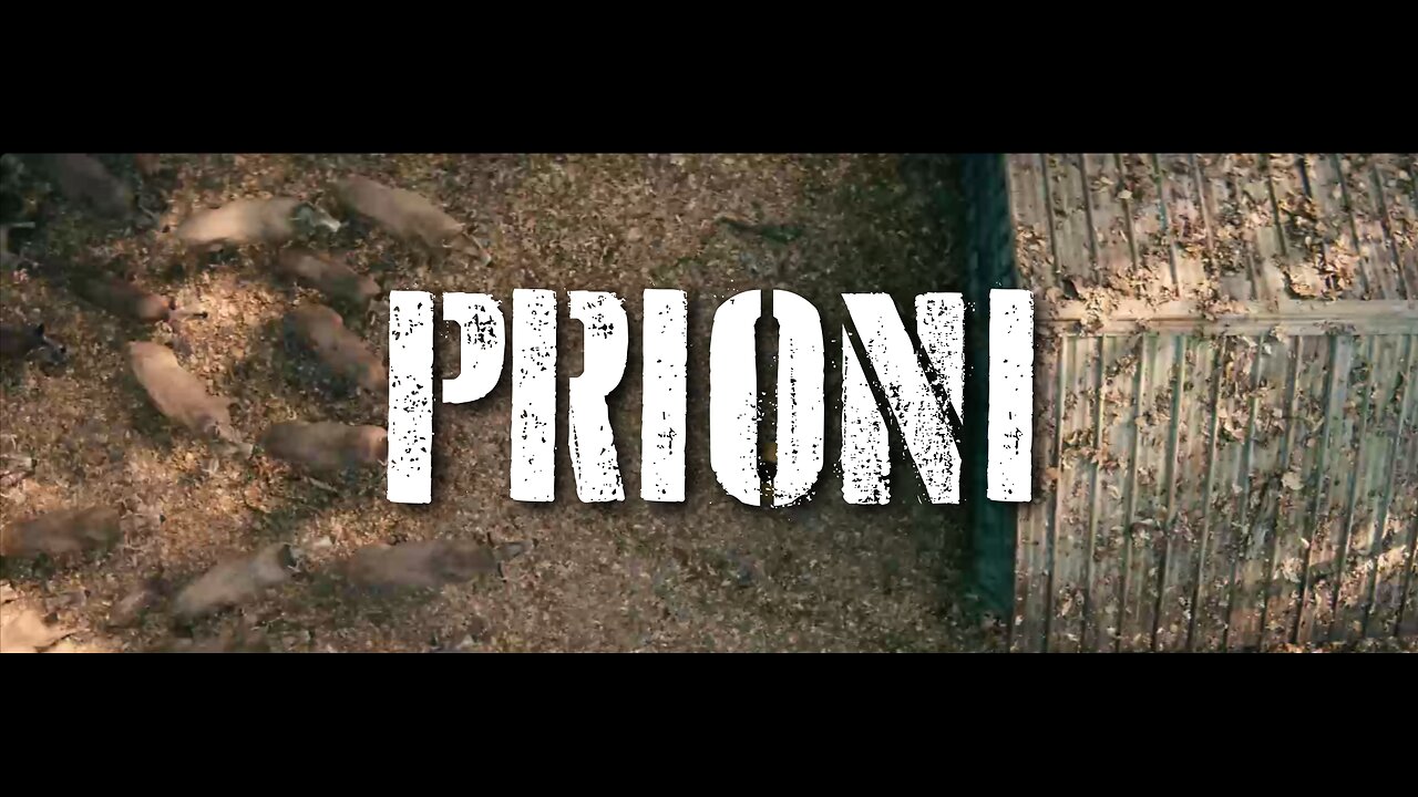 📽 ⚡️ PRIONI ⚡️