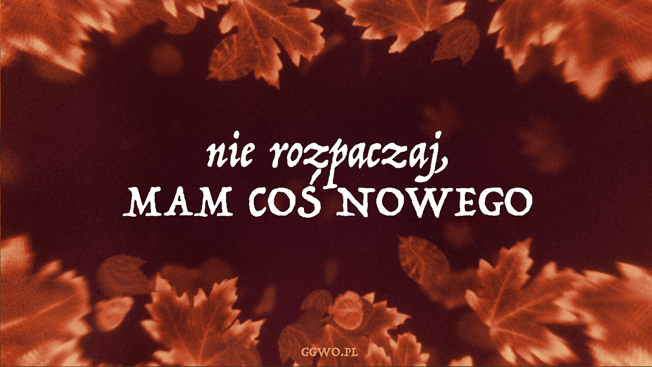 2023.11.19 - NIE ROZPACZAJ MAM - COS NOWEGO - Pastor Roger