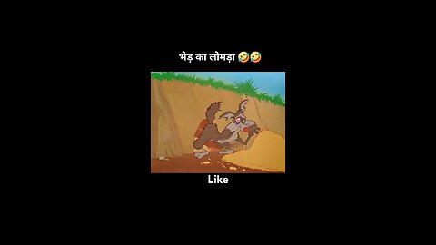 funny catoon