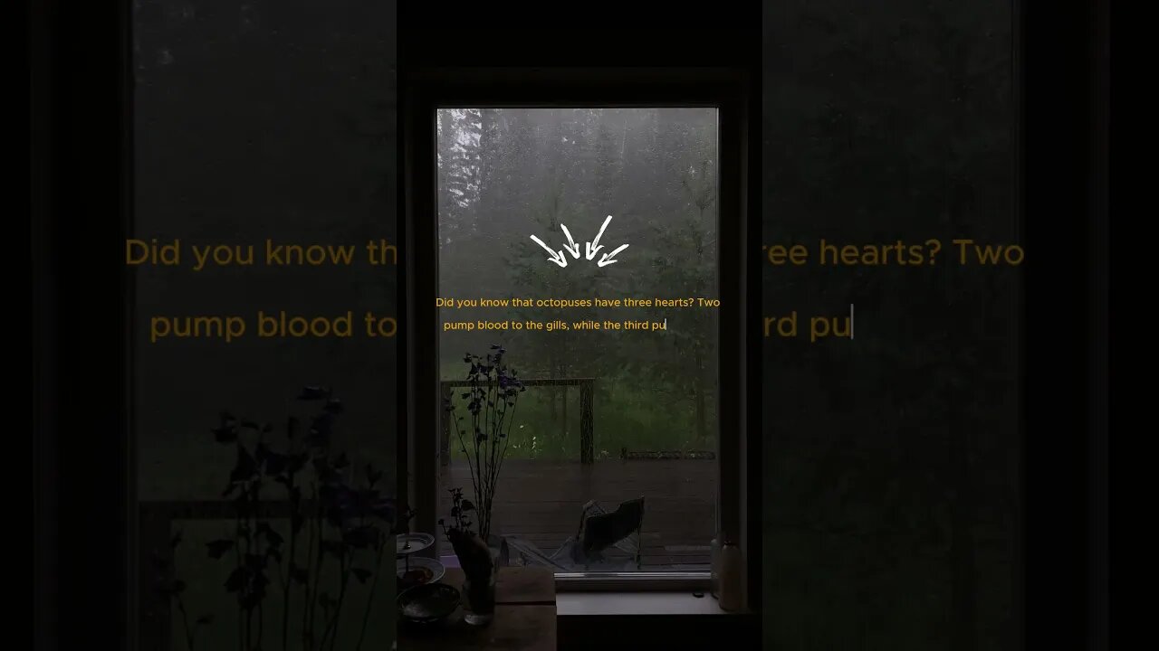 Interesting Facts #7