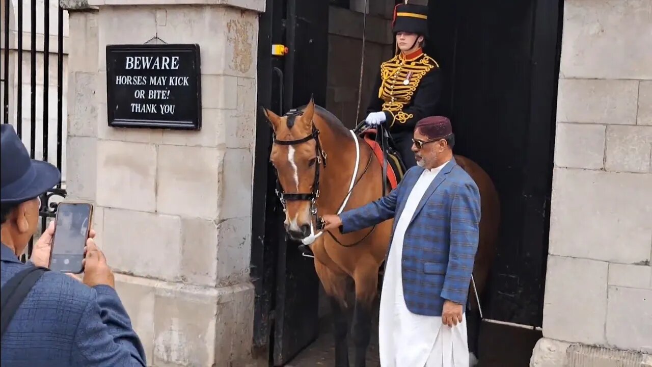 The grabbing of the reins continues #horseguardsparade