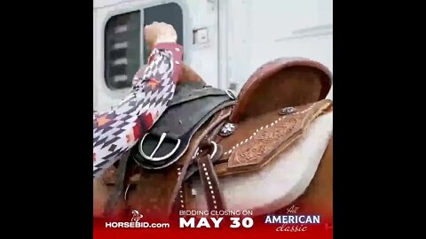 SOLD-Dynasty Equine LLC by FALLON TAYLOR offers FLOBODY exclusively on HorseBid.com ends May 30th!